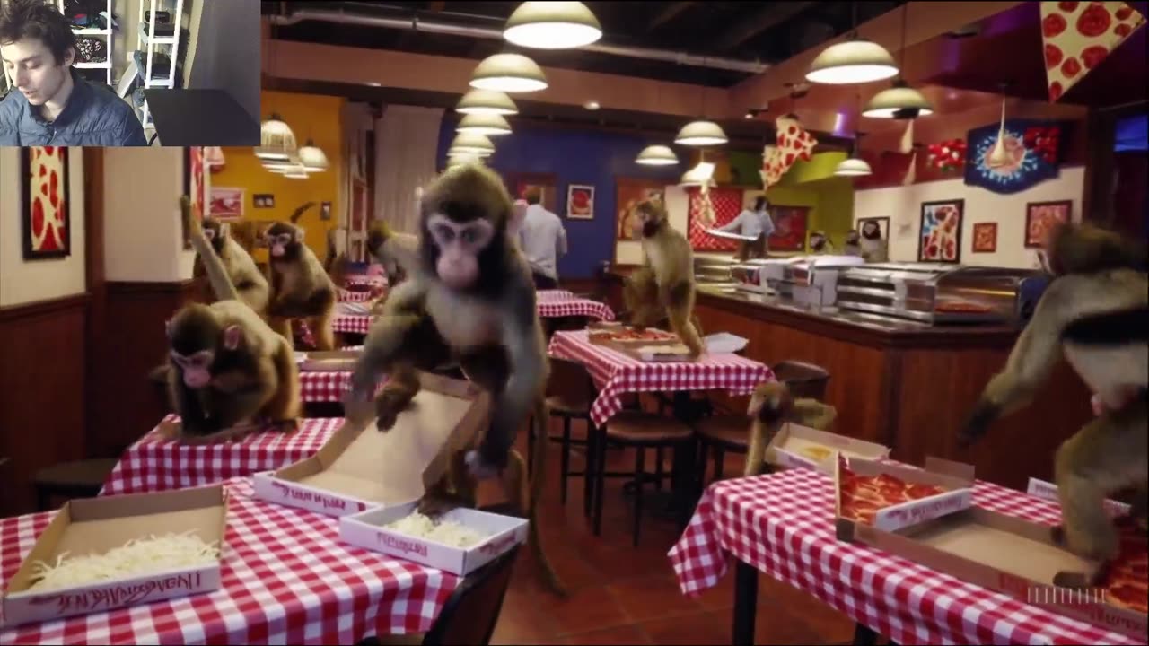 Over 5 Monkeys Roam Around A Pizza Restaurant Fake Funny Parody Video With Live Commentary