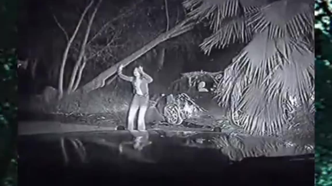 Strange Drunk Women Uses Its Power on Police Officers