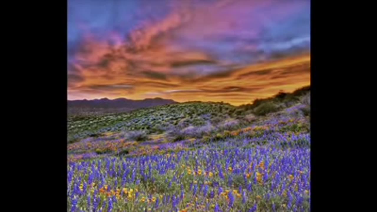 Interview Dr.Leonard Coldwell-Cancer and more health issues.