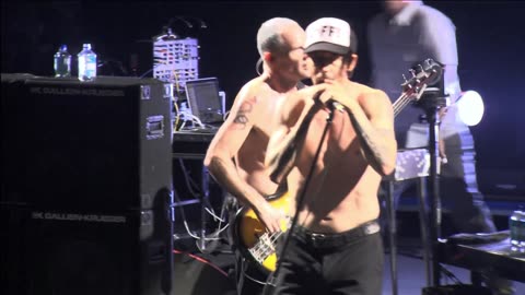 Dani California - Red Hot Chilli Peppers (live)