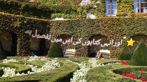 ⭐ This is the True Word of Allah | Quran Translation ⭐