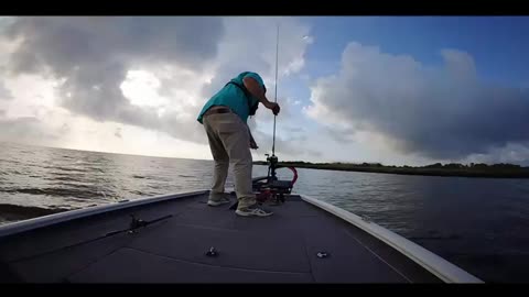 short trip to bayou Beinvenue