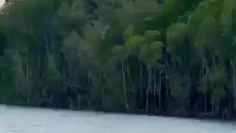 Man and bird unite