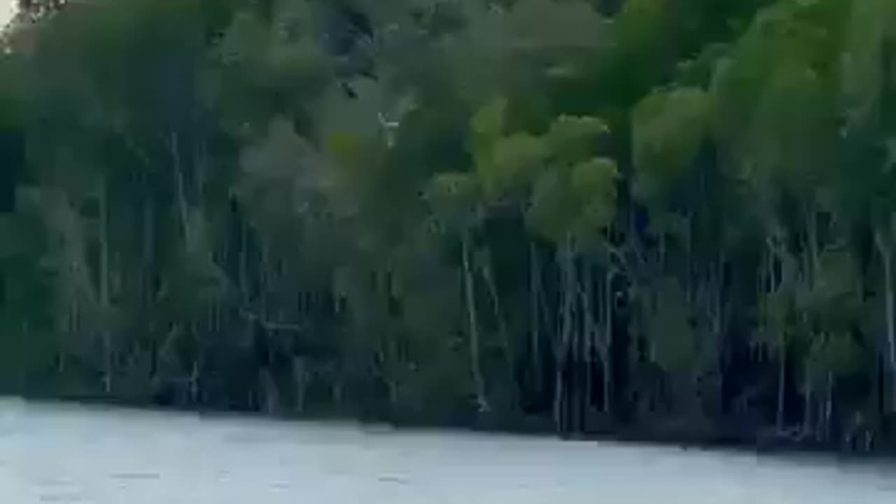 Man and bird unite