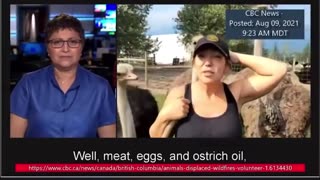 CBC - Edgewood BC - Ostrich Farm 2021