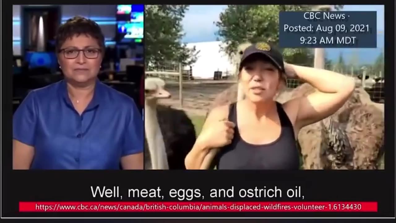 CBC - Edgewood BC - Ostrich Farm 2021