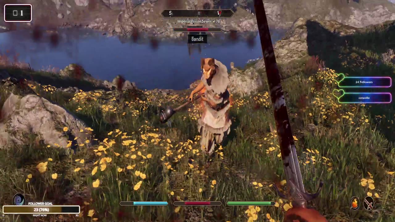 First True Fight!
