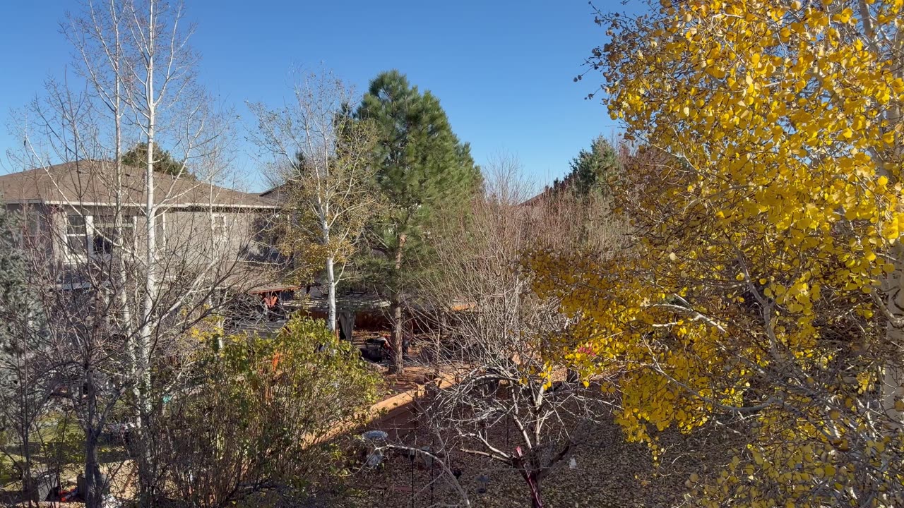 Very nice day outside