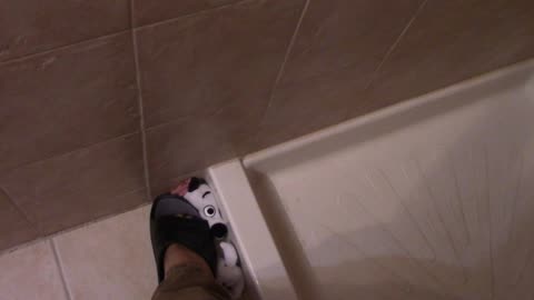 Dylan The Sponge Take 2