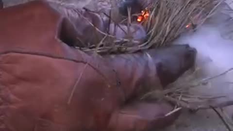 Tinder fungus used as primitive fire starter