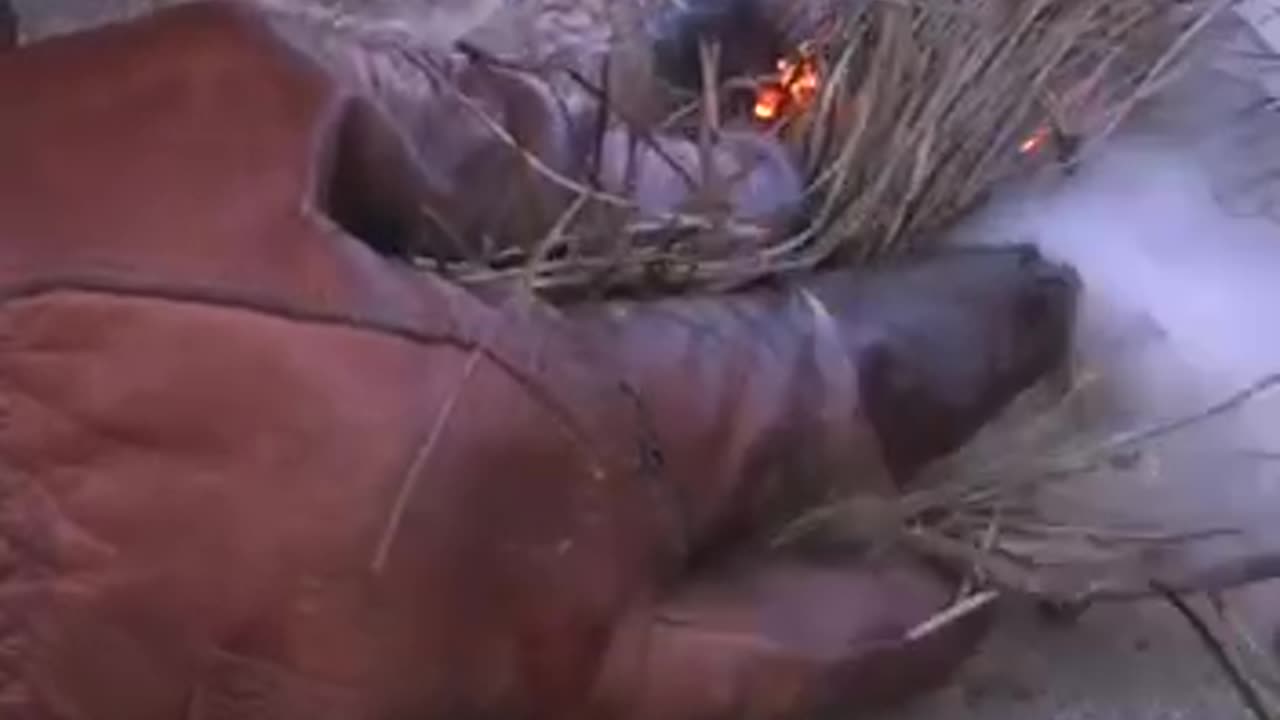 Tinder fungus used as primitive fire starter