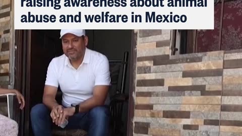 🤖✨ AI Robot Dog Raises Awareness on Animal Welfare! | FeedMyCuriosity