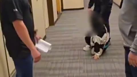 Lawyer goes to the bathroom and ICE grabs her client.