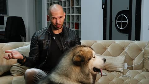 MILLIONAIRE TELLS YOU WHY YOU'LL NEVER BE RICH | Tate Speech Ep. 191 (February 19, 2021)