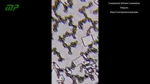 Vaccino pentavalente Easyfive-TT a 13 giorni dalla goccia secca: Nanotecnologia