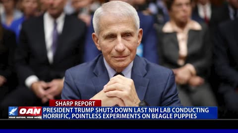 NO MORE FAUCI BEAGLE TORTURE