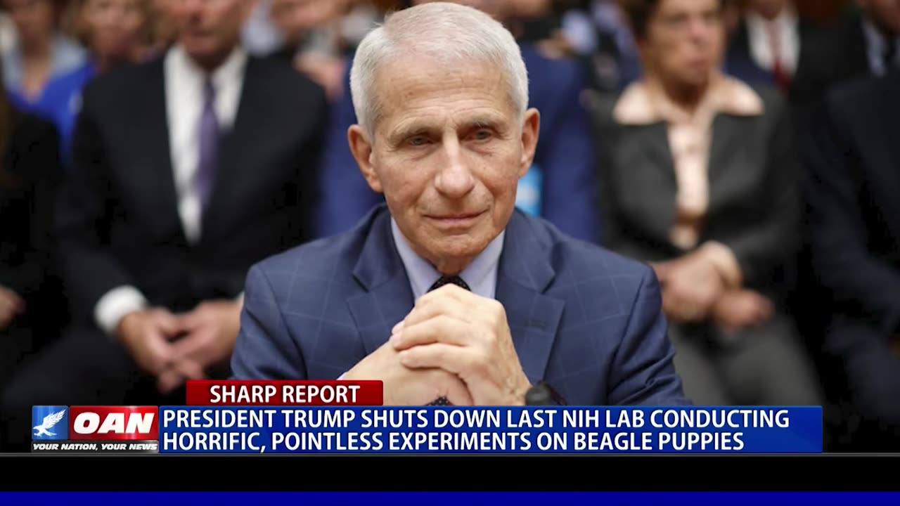 NO MORE FAUCI BEAGLE TORTURE