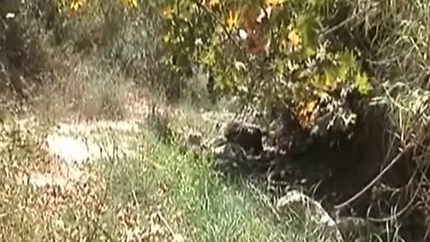 Αστρακιανός Κάμπος.