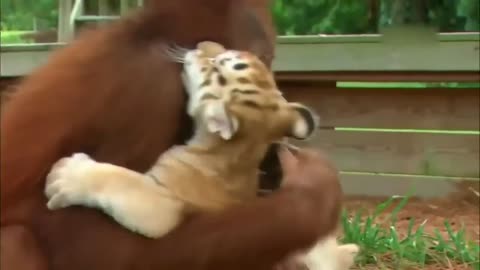 She loves her adopted kids
