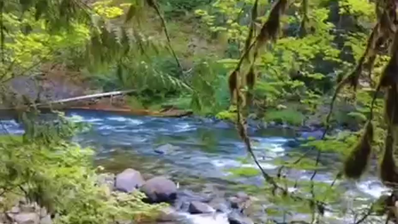 Get Into Nature.