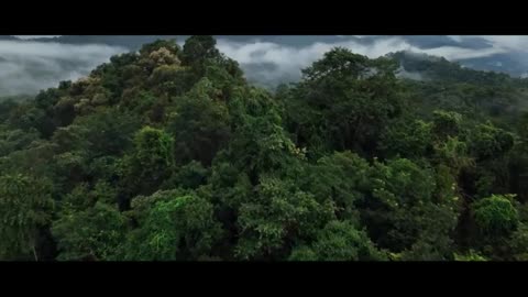 ANACONDA – Last Trailer (2025)