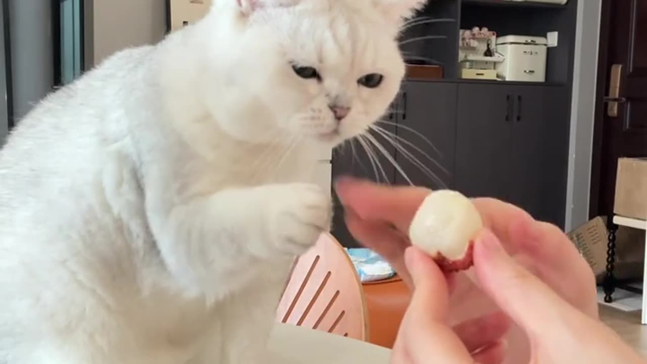 📹 Trending Chinese Viral Videos | Funny, Emotional & Shocking Moments