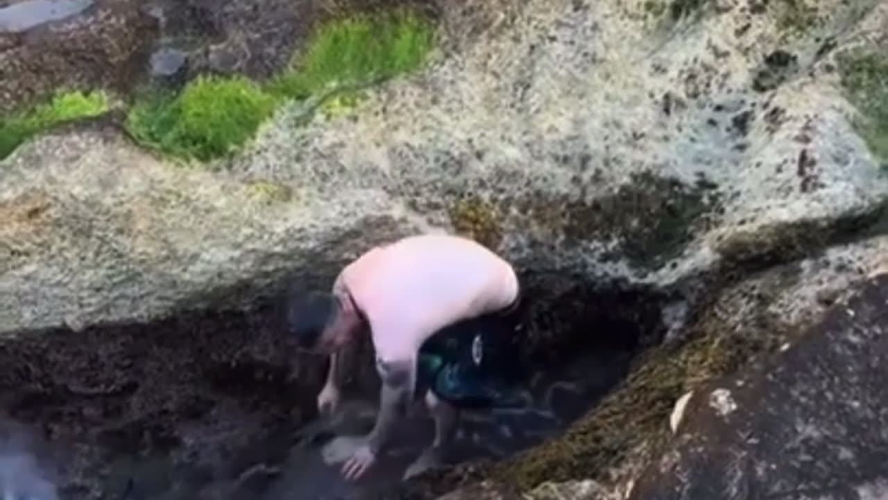 Man Slips on Rock and Takes a Hilarious Dive Back Into the Water