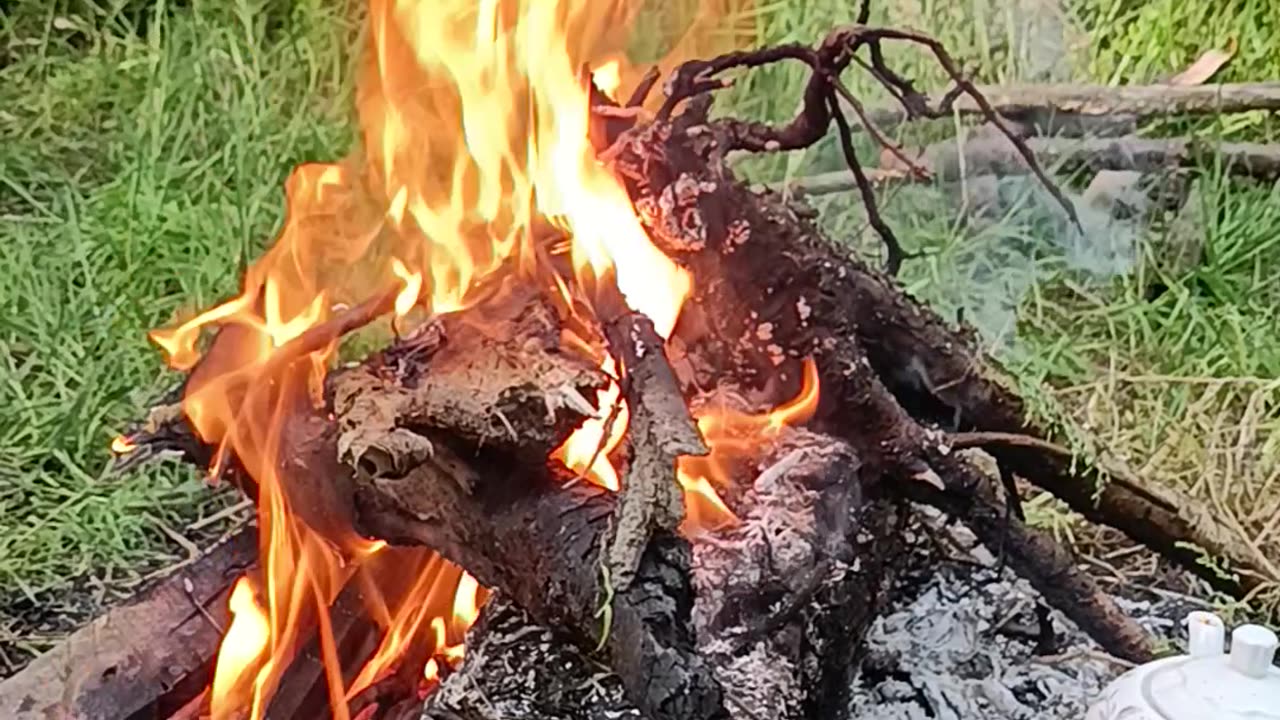 fire