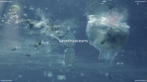 Pour La JournÃ©e Mondiale Des OcÃ©ans