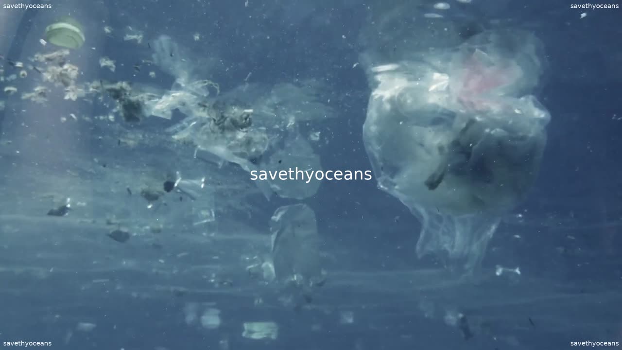 Pour La JournÃ©e Mondiale Des OcÃ©ans