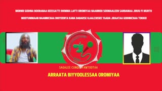 ONM-ABO Adoolessa 28-2025 itti dhiyaadhaa!