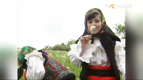 In Memoriam MIHAI FLOREA - Mangaiere si impacare - Arhiva