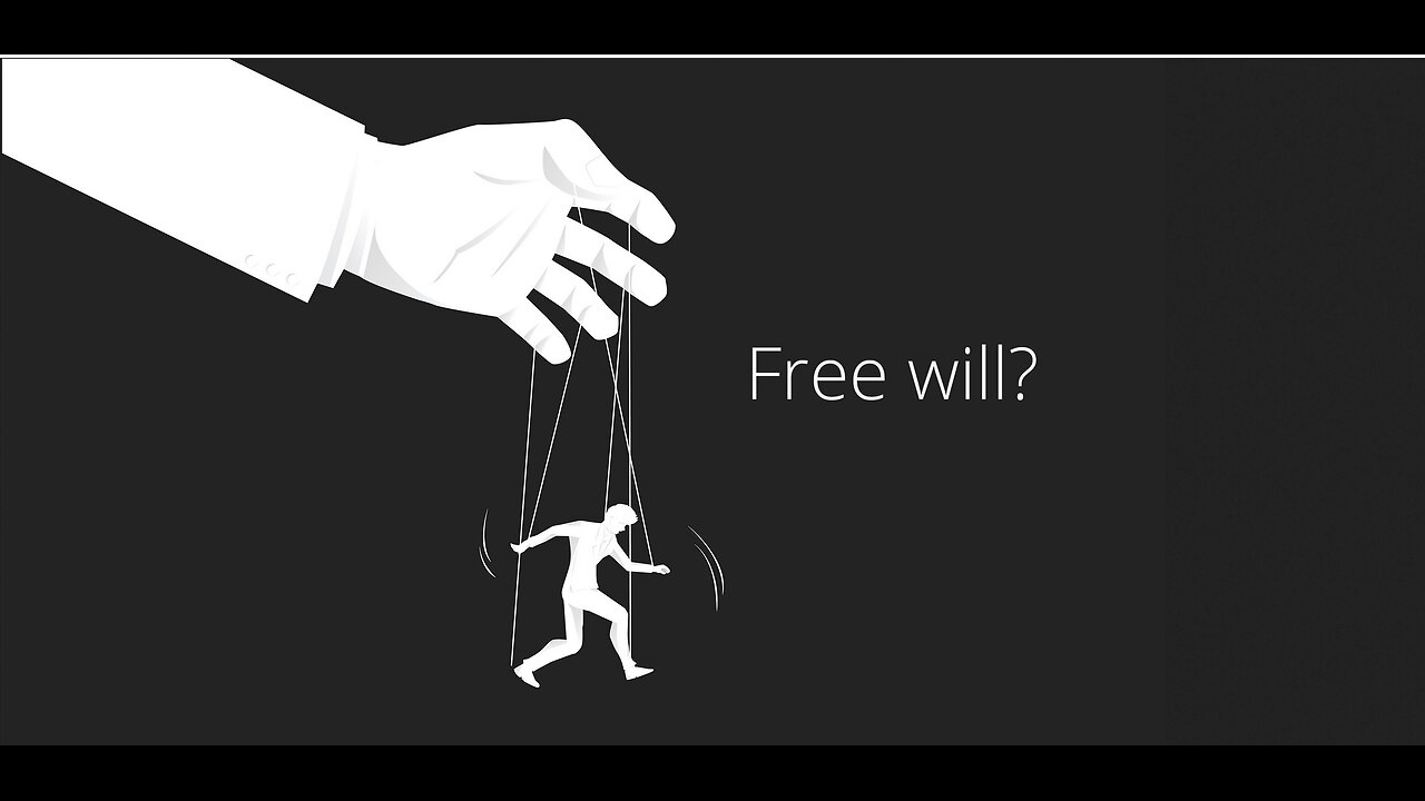 FREEWILL DECODED