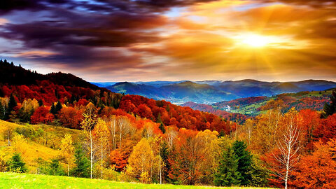 KJ's What Happened? (1/10/26)