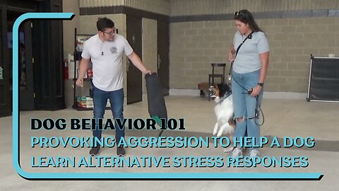 Human Aggression, Provoking Aggression To Teach Alternative Stress Responses, Controlled Exercises