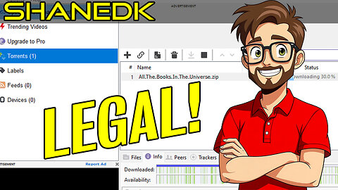 Judge: Fair Use is NOT Piracy!