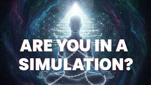 Are you in a simulation?