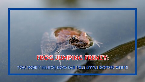 Frog Jumping Frenzy: You Won’t Believe How Far This Little Hopper Went!