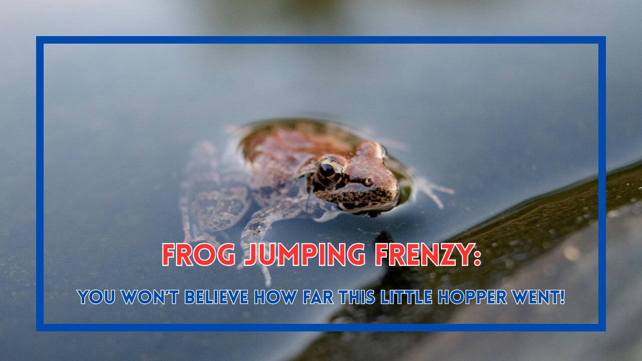 Frog Jumping Frenzy: You Won’t Believe How Far This Little Hopper Went!