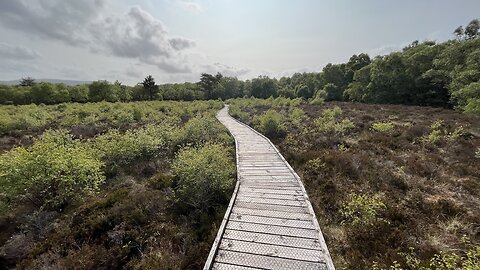Bavelaw Burn loop from Balerno