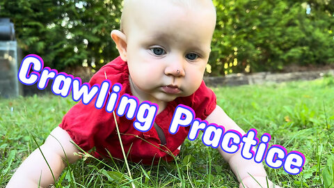 Baby Kayla’s Adorable Crawling Adventure in the Grass!