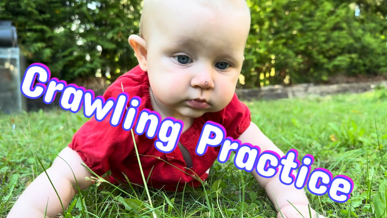 Baby Kayla’s Adorable Crawling Adventure in the Grass!