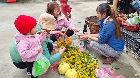 She picks tangerines and grapefruits and sells them at the market | Highland life