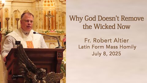 Why God Doesn't Remove the Wicked Now