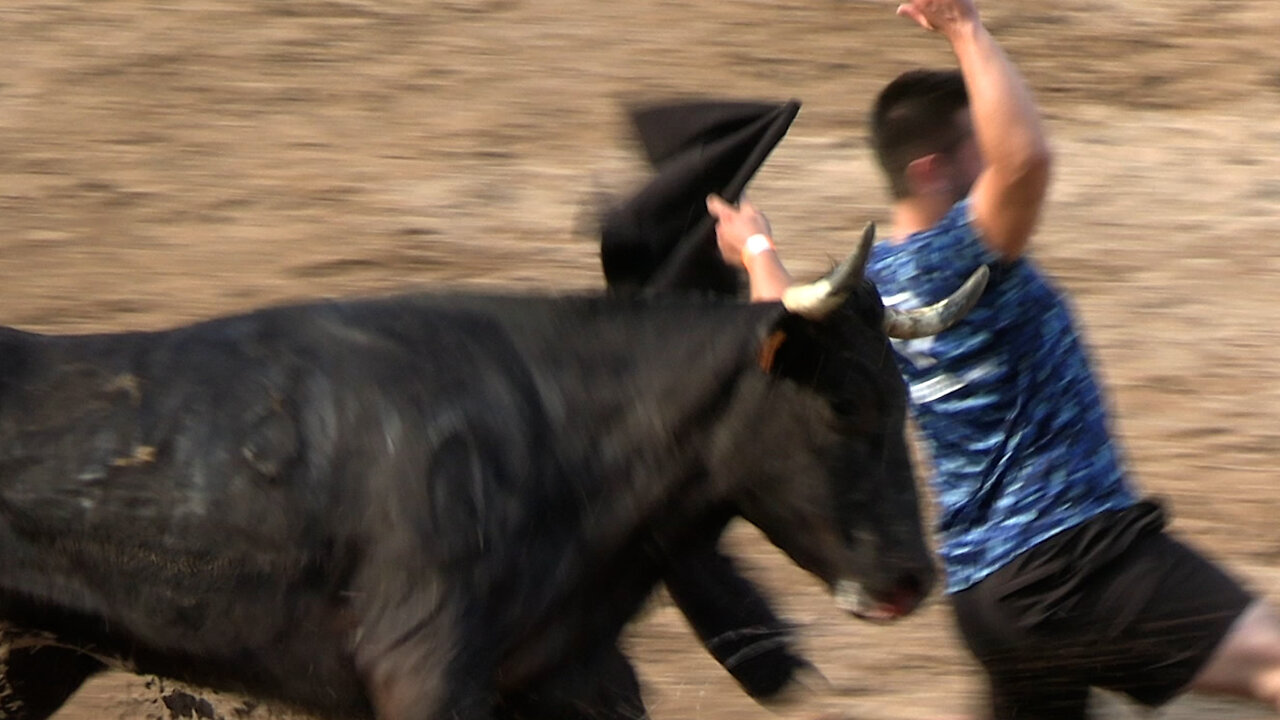 2025 08 03 LA VALL D'UIXÓ LA PALOMA