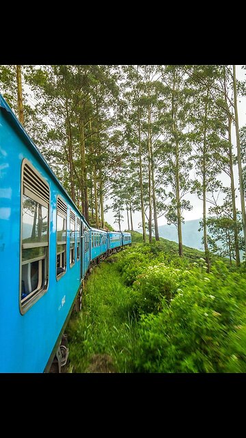 Explore the Enchanting Nine Arched Bridge in Ella