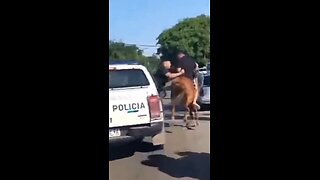 Detienen a jóvenes que robaban a caballo en Argentina