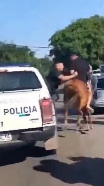 Detienen a jóvenes que robaban a caballo en Argentina