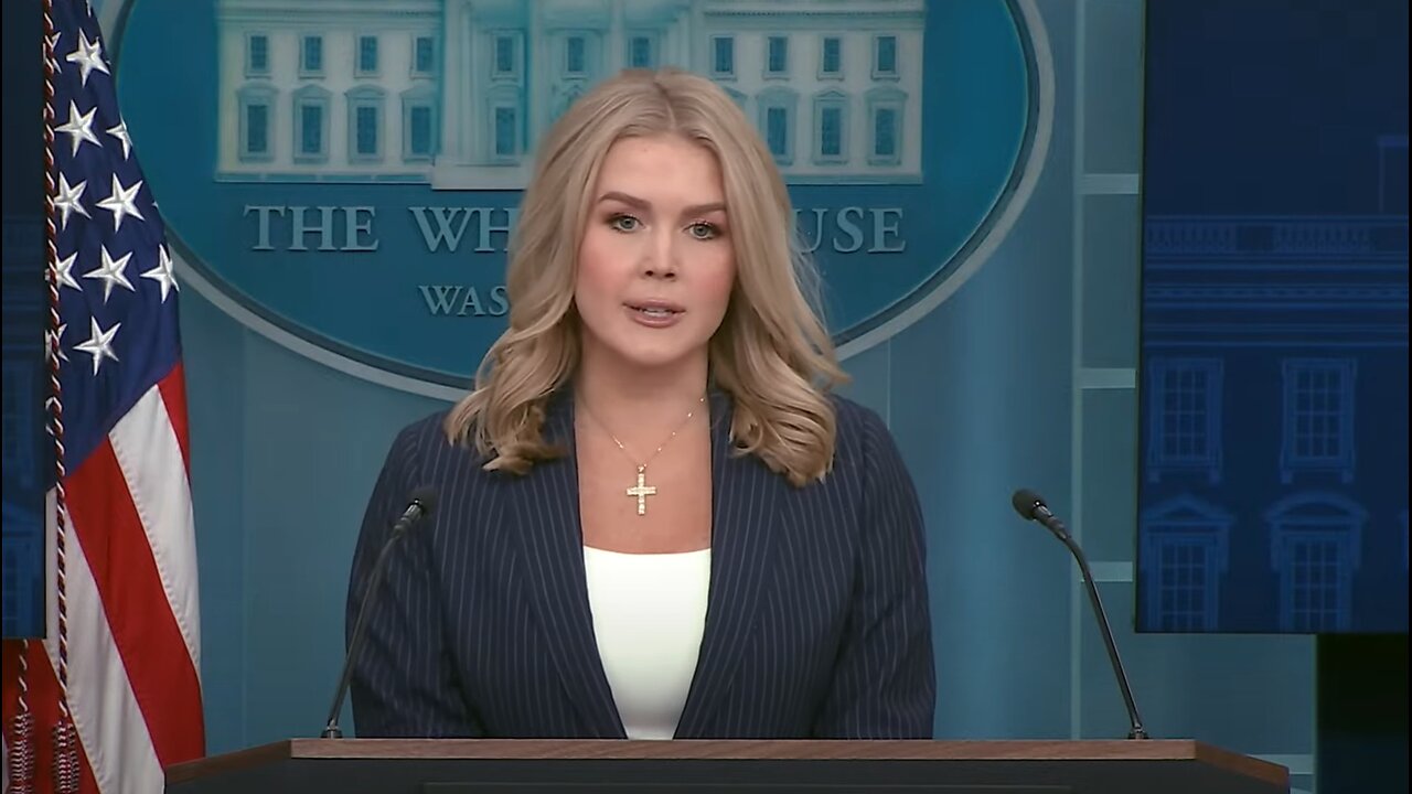 Karoline Leavitt once again SHREDDED the MSM!