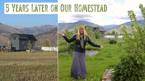 5 Years Later, Neglected Land in a High Mt. Valley to Productive Homestead - See What Has Changed!